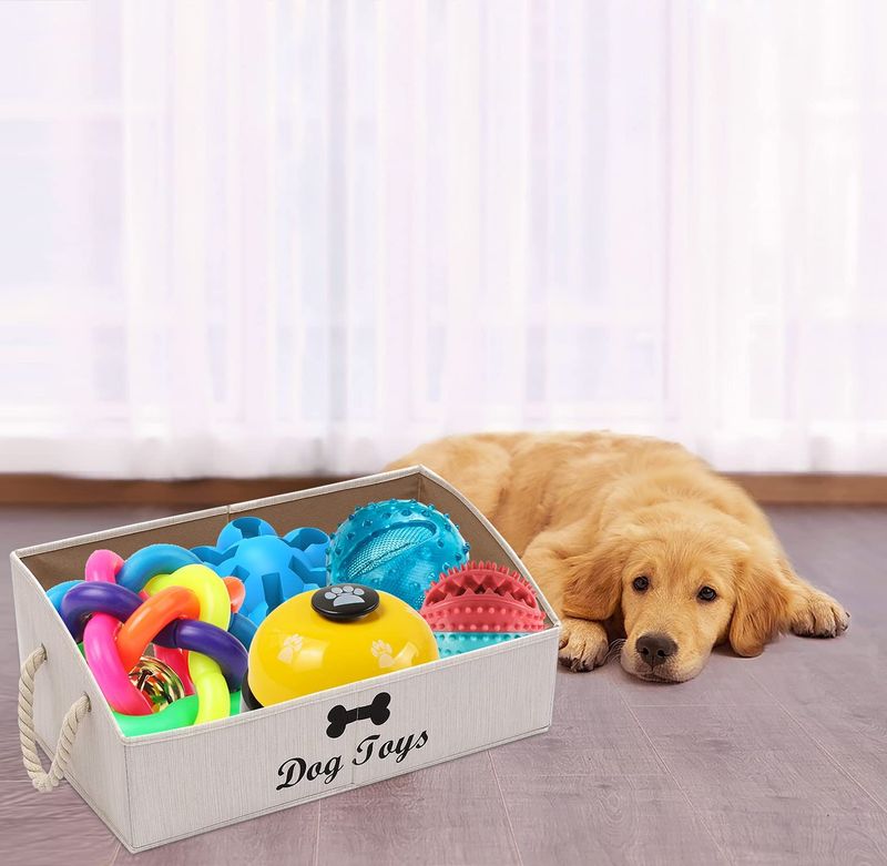 Redirect to Chew Toys