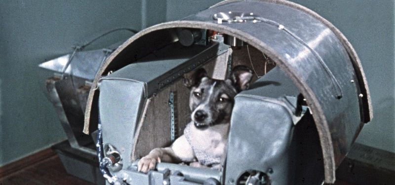 Laika
