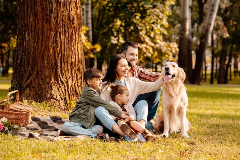 Include Dogs in Family Activities
