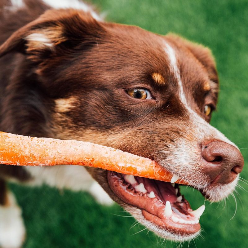 Carrot Sticks
