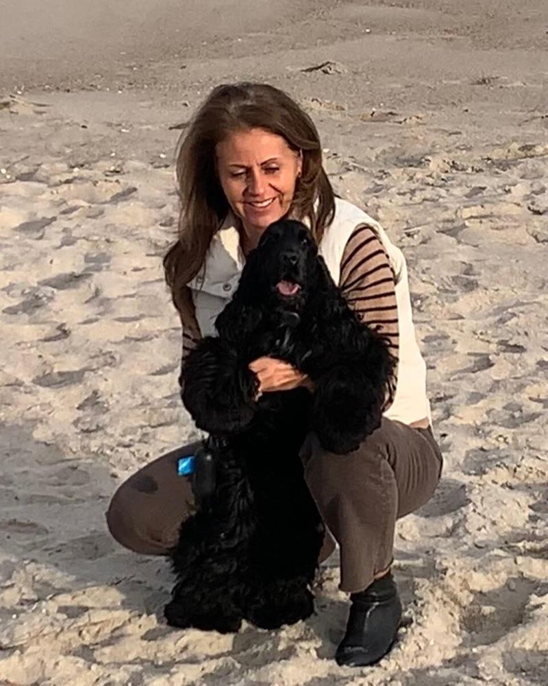 Cocker Spaniel