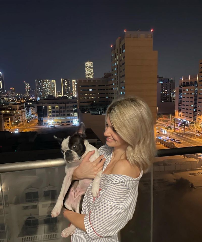 Boston Terrier