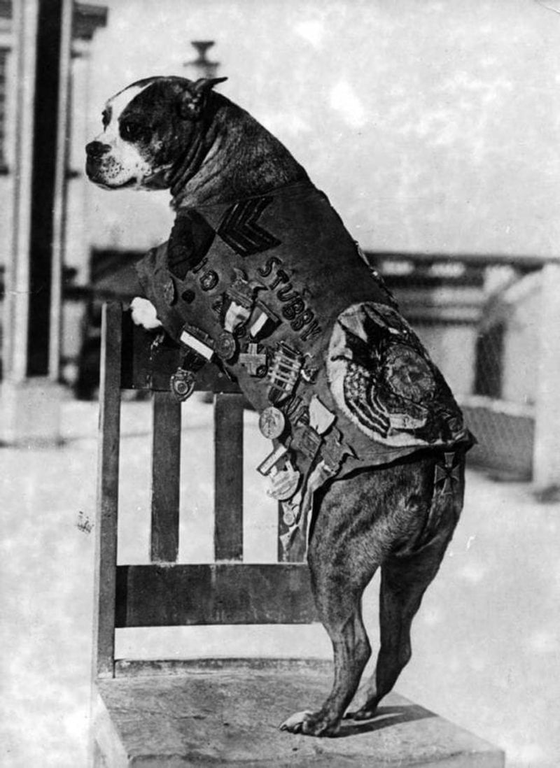 Stubby