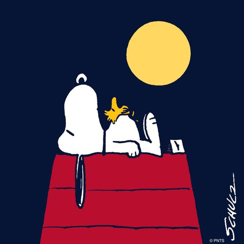 Snoopy's Iconic Sleeping Pose