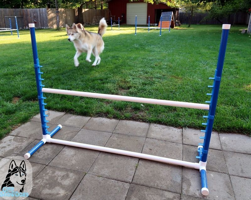 DIY Obstacle Courses