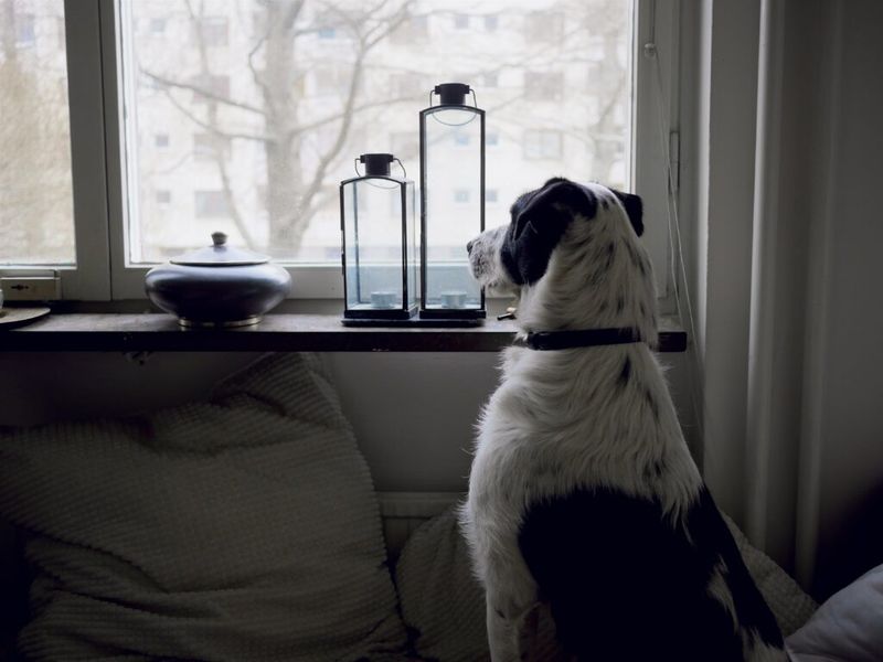Providing a Safe Space at Home