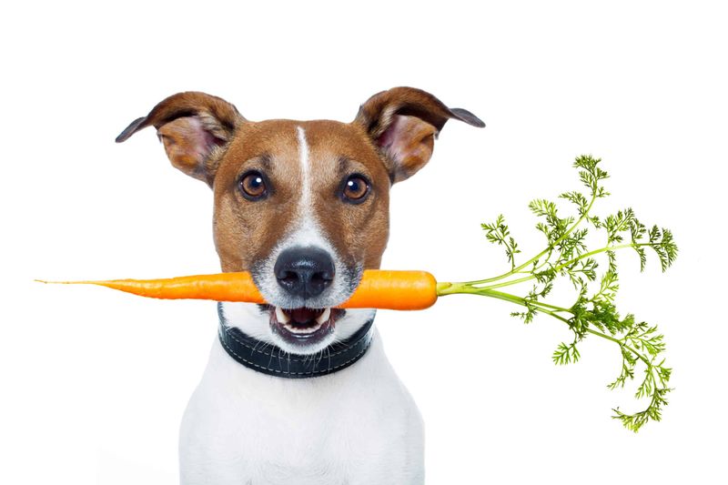 Carrots