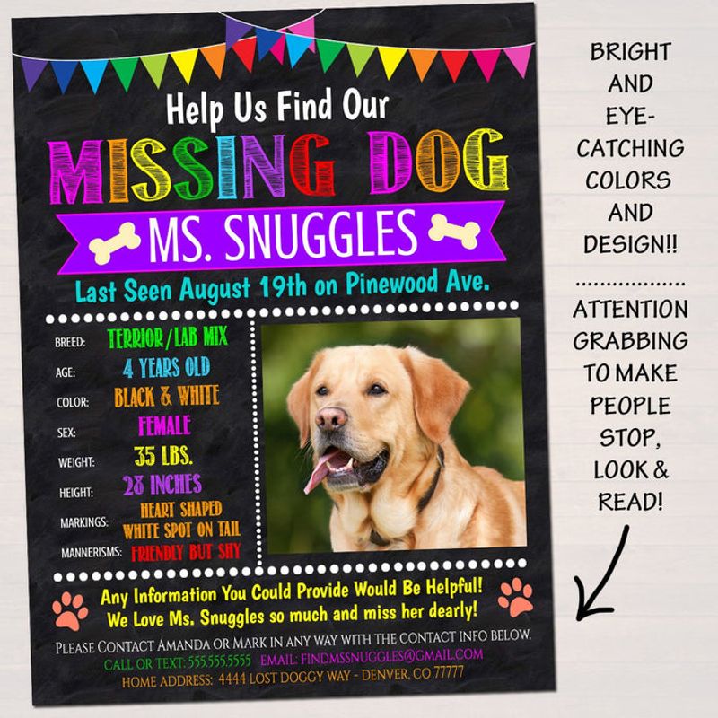 Create Eye-Catching Flyers
