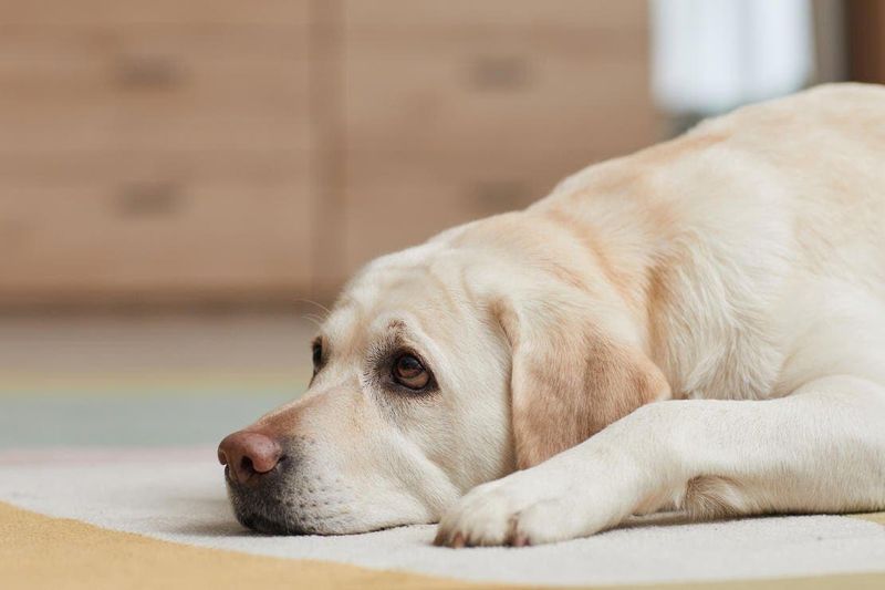 Reluctance to Exercise