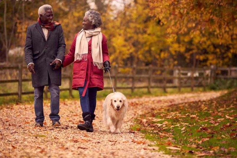 Outdoor Exploration Walks