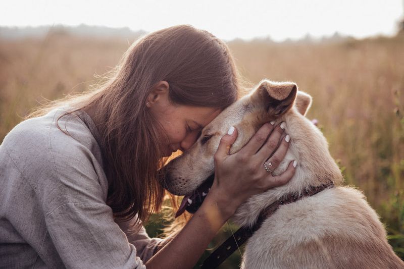 Their Language of Love