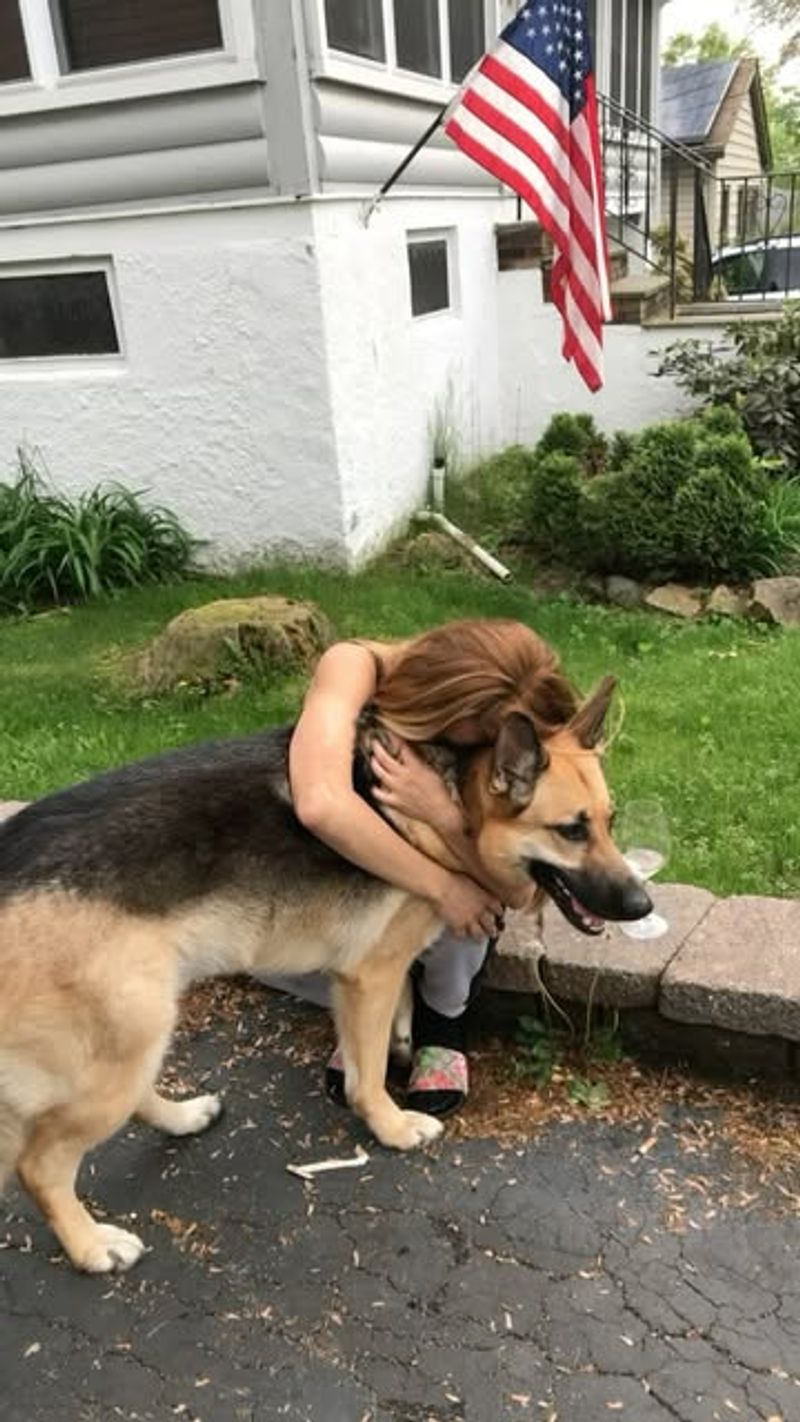 The Loyal Shadow