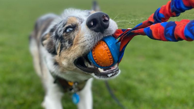 The Healing Power of Play