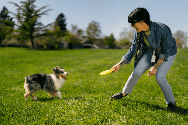 The Joy of Play