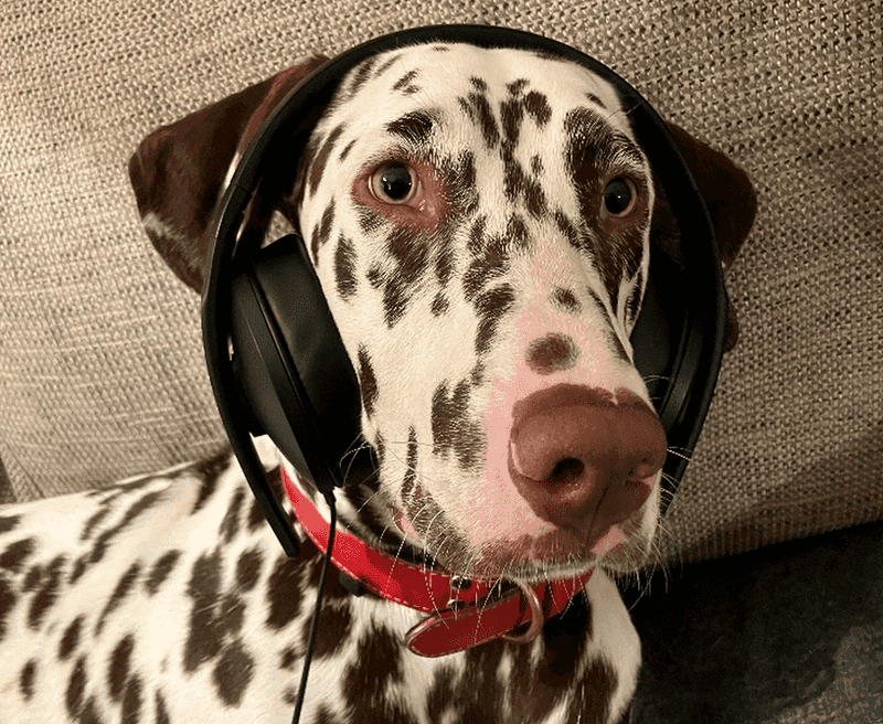 The Calming Effect of Music