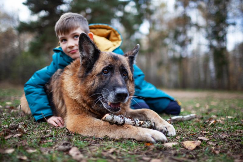 Loyal Protection