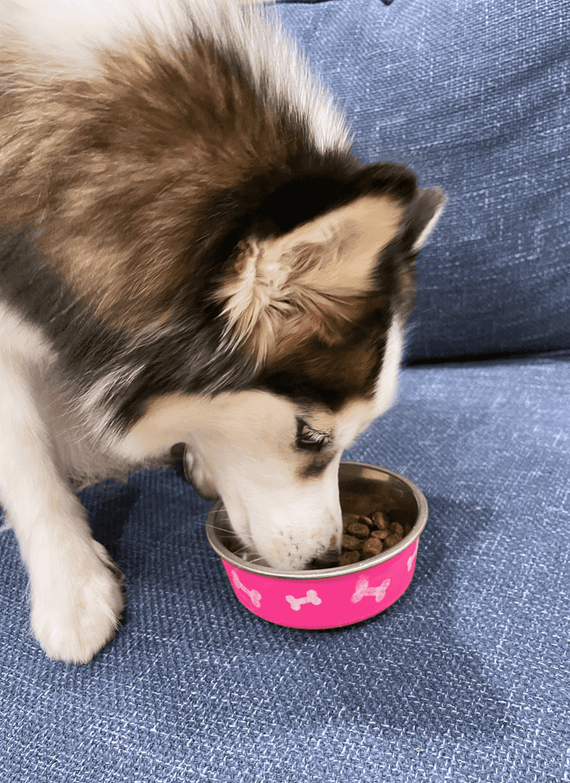 Dietary Needs