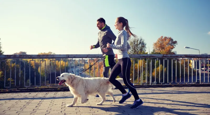 Exercise to Exhaustion
