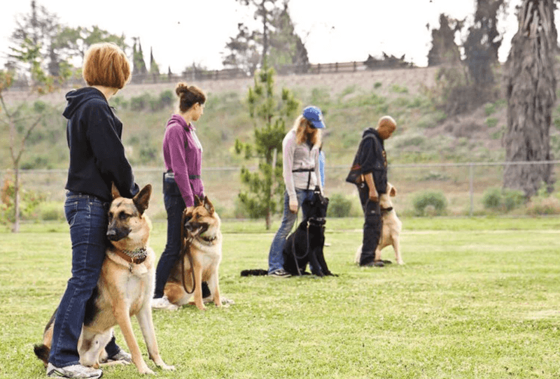 Enroll in a Training Class