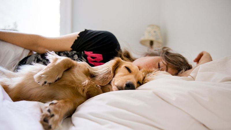 Digging into the Bed