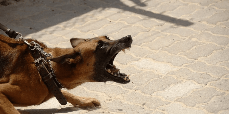 Increased Aggression