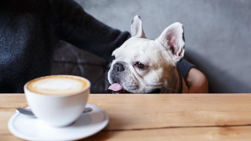 Caffeine