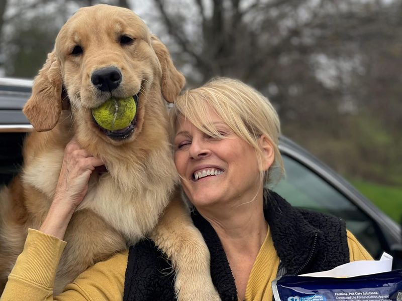 Golden Retriever