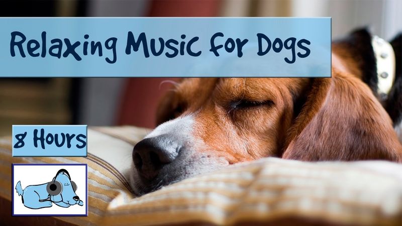 Play Calming Music