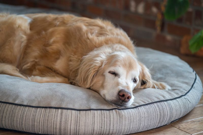 Lethargy and Fatigue