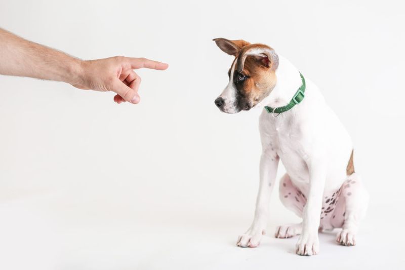 Misinterpreting Dominance