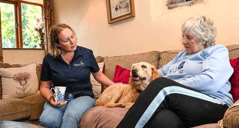 Understanding Canine Hospice