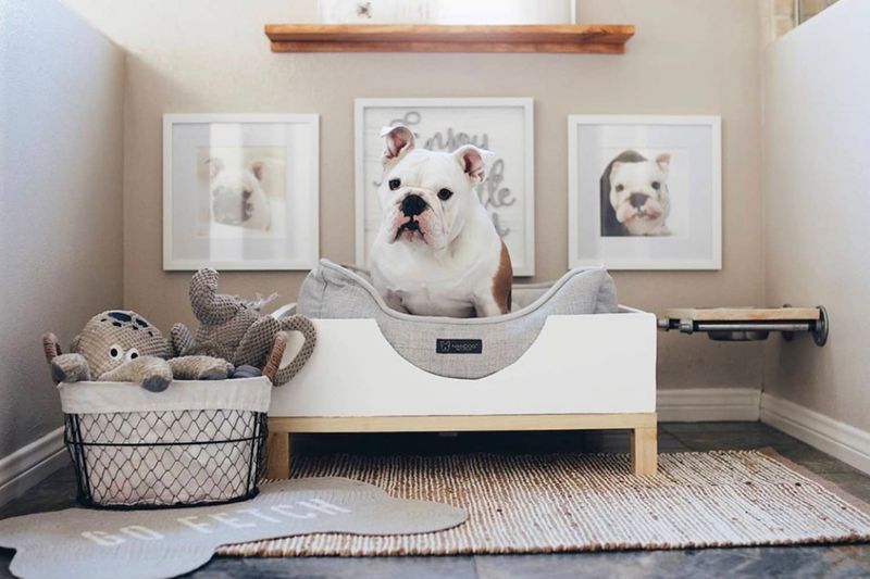 Create a Cozy Space