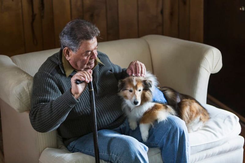 Companionship
