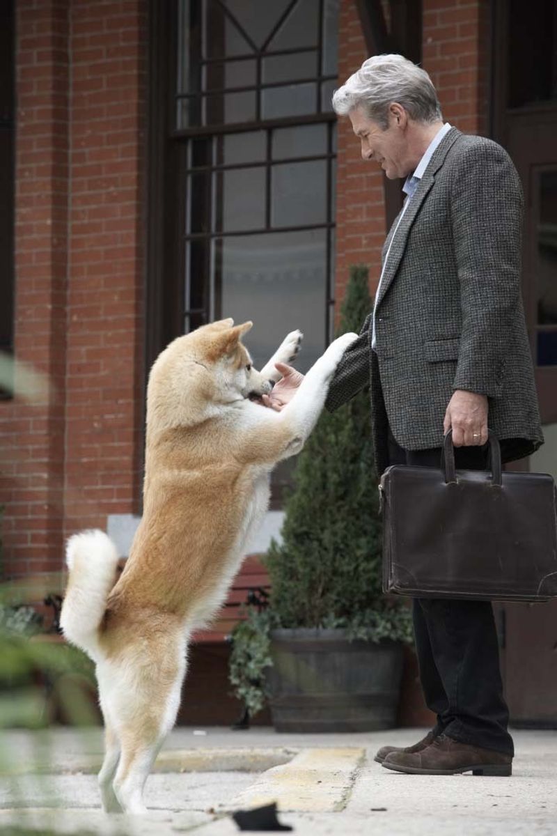 Hachi: A Dog's Tale