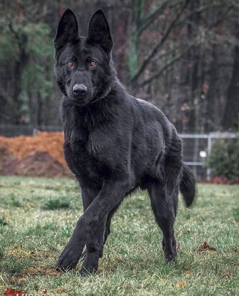 Striking Appearance