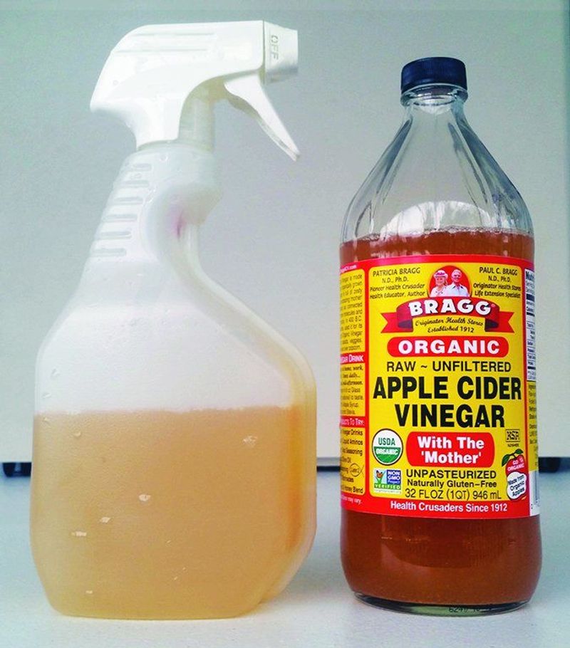Vinegar