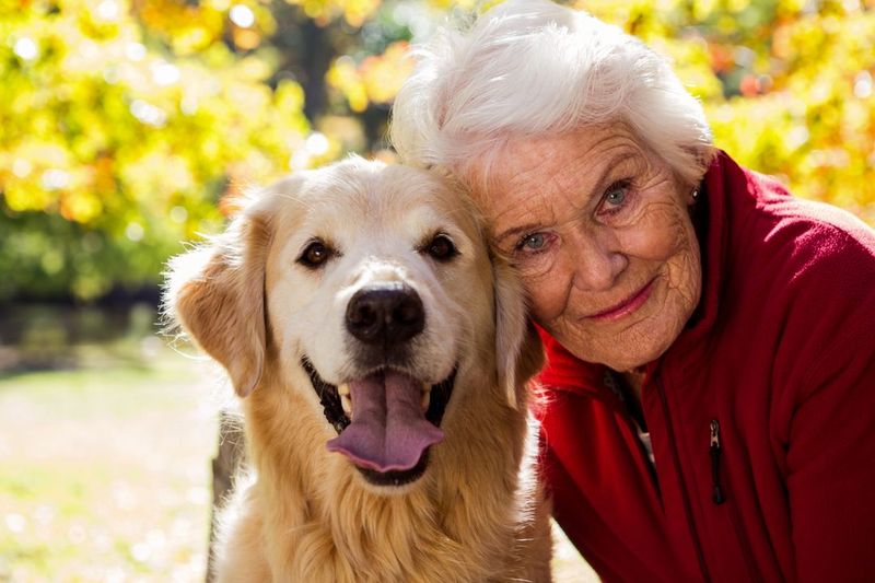The Unwavering Loyalty