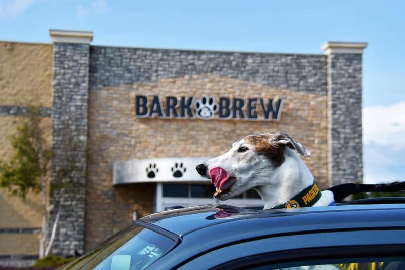 Bark & Brew
