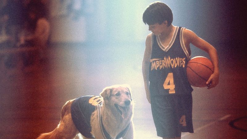 Air Bud