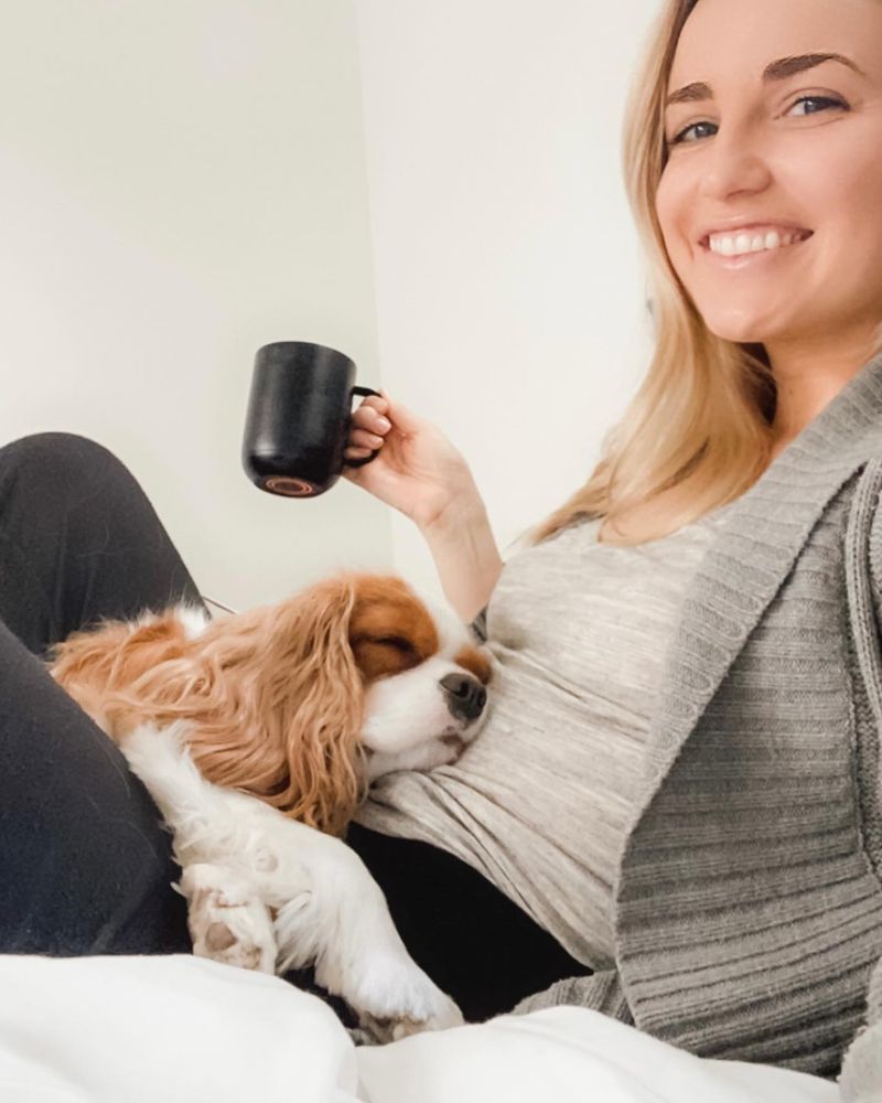 Cavalier King Charles Spaniel