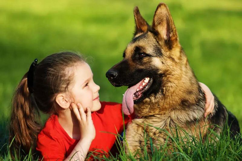 Loyal Protectors