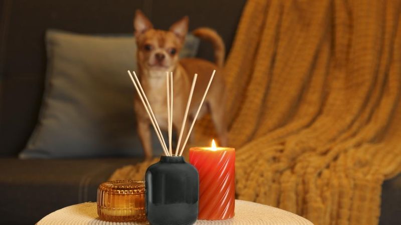 Aromatherapy with Essential Oils