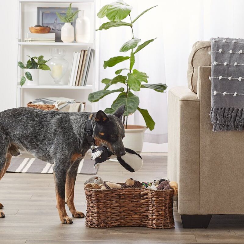Organize Pet Supplies