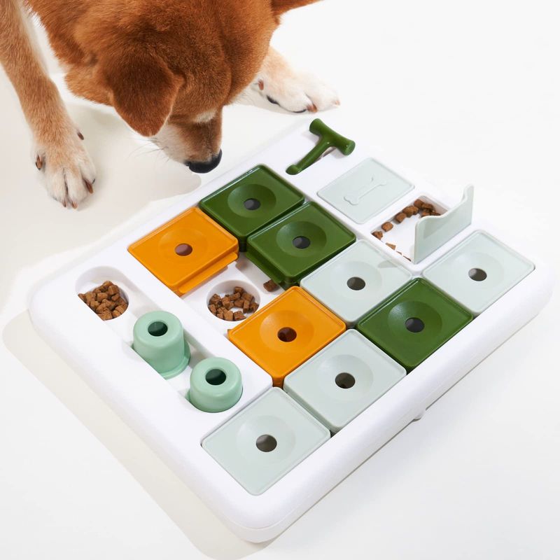 Interactive Puzzle Toys