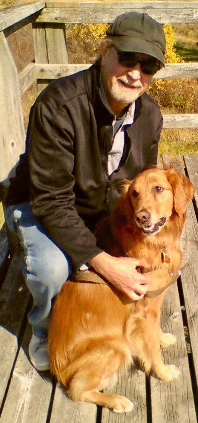 Golden Retriever