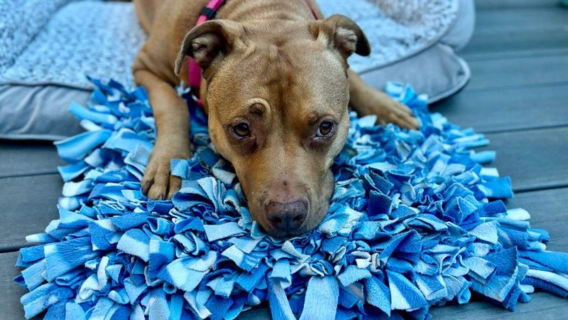 Snuffle Mat