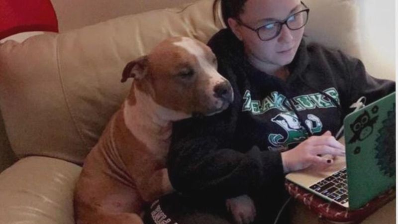 The Affectionate Snuggler