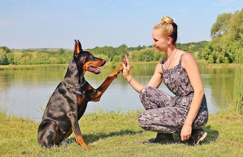 Loyal Companionship