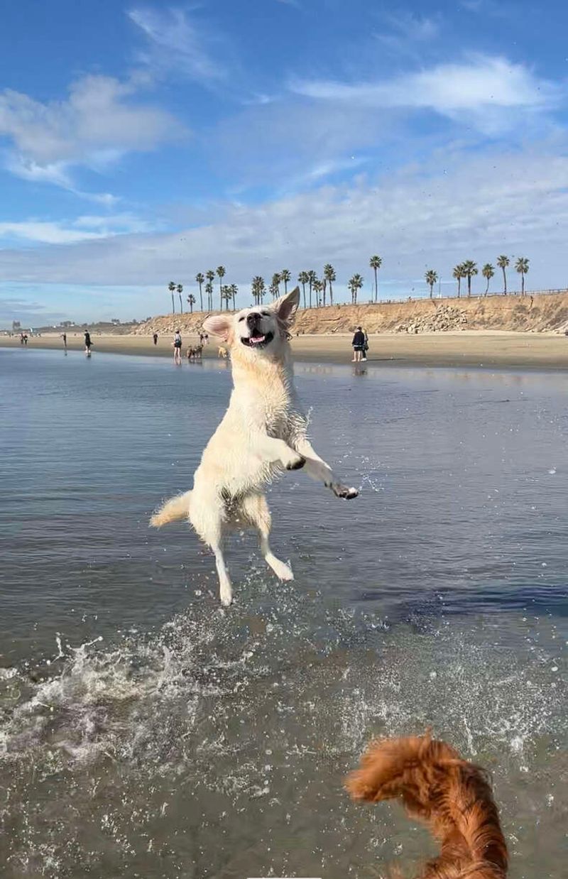 Beach Day Adventure
