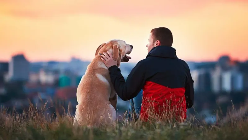 Unconditional Loyalty